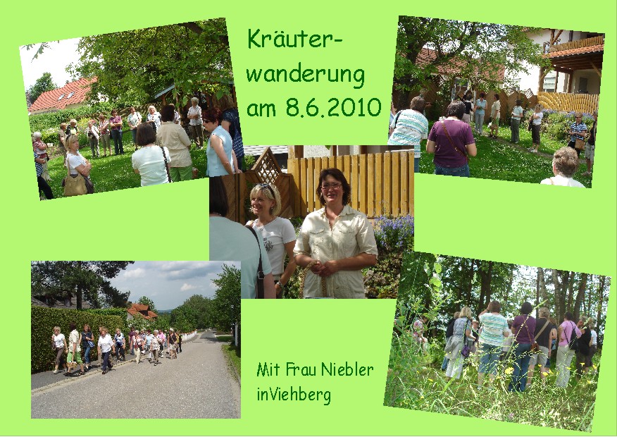 1006 Kräuterwanderung11